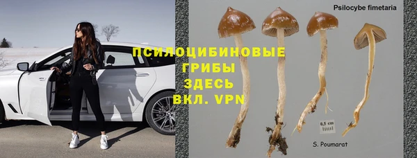 экстази Арсеньев