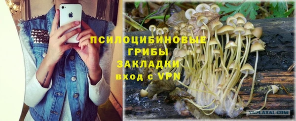 скорость Аркадак