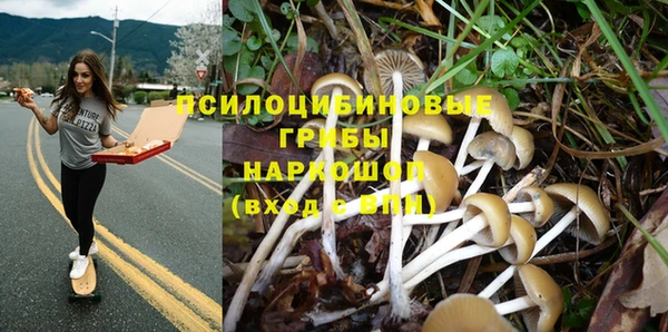 экстази Арсеньев