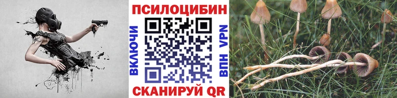Галлюциногенные грибы GOLDEN TEACHER  мориарти телеграм  Судак 